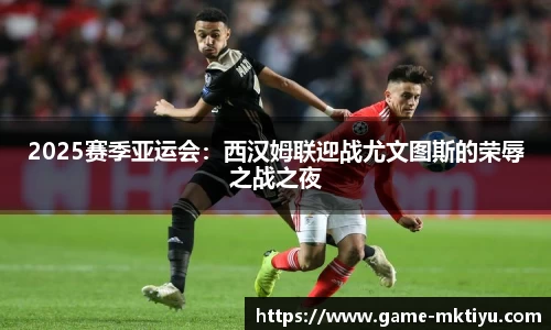 mk体育官网